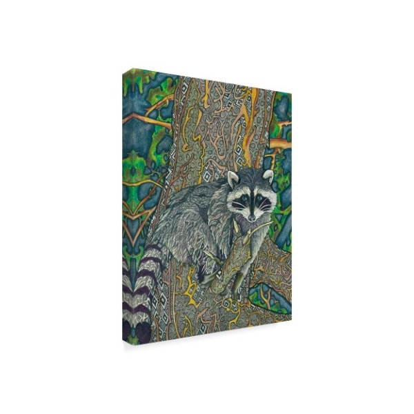 Amy Frank 'Racoon ' Canvas Art,14x19